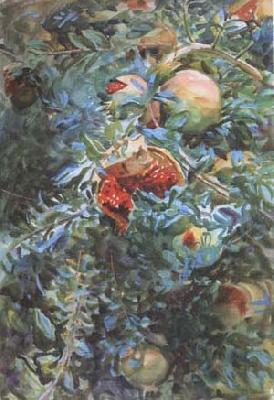 John Singer Sargent Pomegranates (mk18) Spain oil painting art
